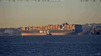 MSC Pina - Ocean-Going Container Ship - Brooklyn, NY (2021-12-10)