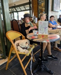 Madame et son chien au café
