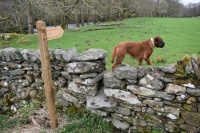Over the wall stile and off we go.