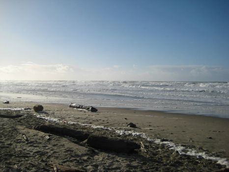 Oregon Beach