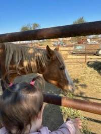 Here Horsey!:D Dinners ready! :D