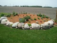rock garden in spring