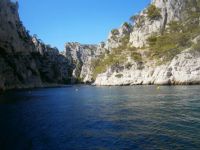Cassis fr