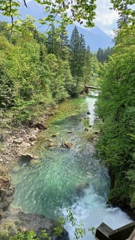 Radovna river gorge