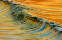 Golden Wave by David Orias