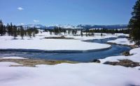 Polecat Creek, Grand Teton National Park