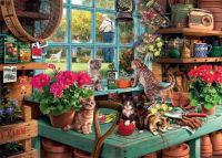 Cats in garden shed