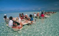 Group Lunch In The Lagoon - Bora Bora