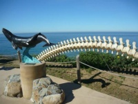 Whale Sculpture, Cabrillo National Monument, Point Loma, CA