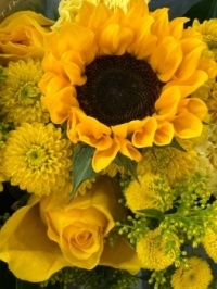 Sunflower and friends