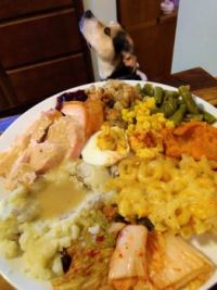 Turkey and sides - the Beagle is not one of the sides, she's a guest at the table
