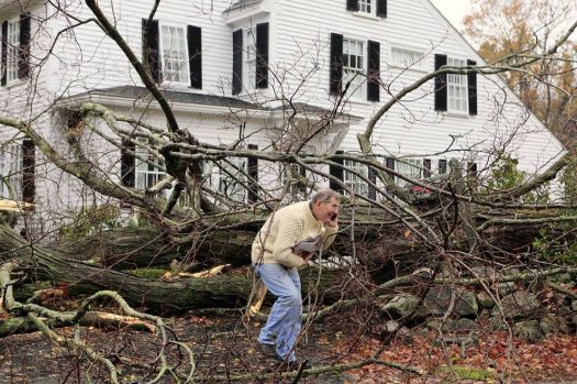 A toppled tree during Hurrican Sandy