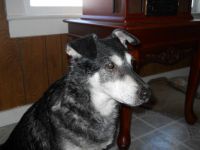 DSCN0058