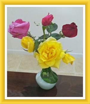 The Last of Carolyn's Roses. Smaller