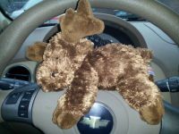 Moose on a Steering Wheel
