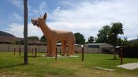 The "GOLDEN DOG", Glenreagh, NSW - a lesser known Australian Big Thing
