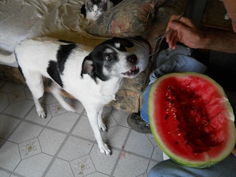 Roxanne and her watermellon