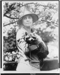 Thanksgiving Raccoon Gets Reprieve from the Coolidge White House