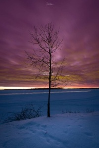 Amazing colors Saskatchewan Sunrise in Winter