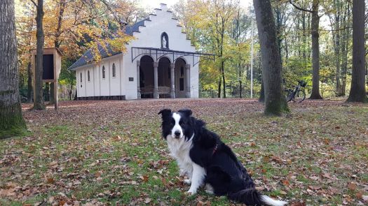 Ollie again at a chapel ❤️