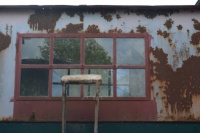 Window