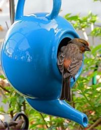 Teapot birdhouse