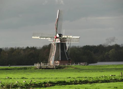 Mill "De Helper" near Groningen