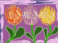 3 Hyacinths