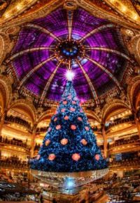 The Great Christmas Tree~Paris France-Gallaries