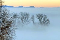 Brouillard hivernal