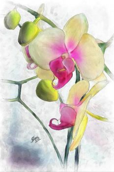 Flowing Orchids Painting