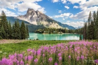 Scenery