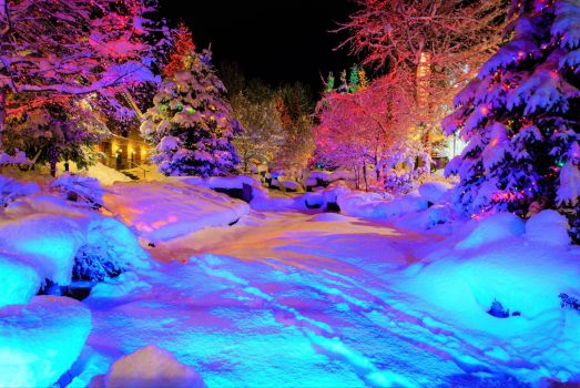 Solve Winter Lights jigsaw puzzle online with 150 pieces