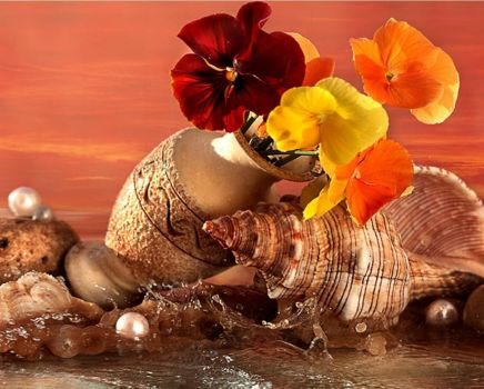 shells and flowers, smaller version
