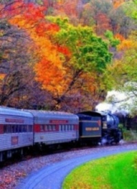 COLORFUL LEAVES AND TRAIN
