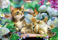 Kittens and Butterflies