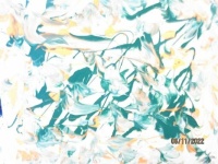 287 8X10 ACRYLIC JUN 22