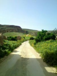 cyprus path