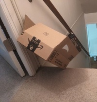 That's how it landed, part II