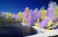 Spring Colors