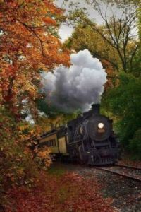 Fall Train