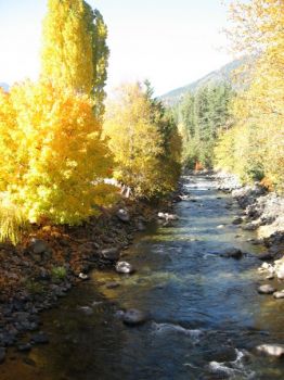 river in the fall