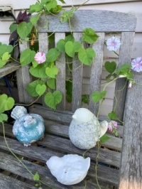 Summer scene