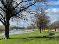 Spring by the Trent