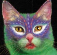 hey! colour me