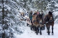 gosau 2006 január
