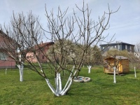 Spring works