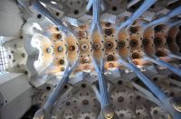 Vault of the main hall of Sagrada Familia