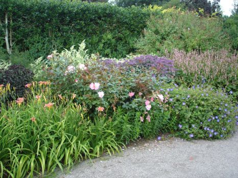 Rosemoor gardens