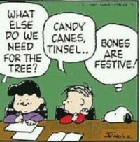 Bones are Festive!